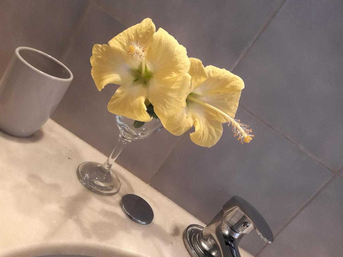 Apto Tipo Loft En Complejo Bahama, A Metros Del Mar Y Zona Muy Tranquila 푼타델에스테 외부 사진